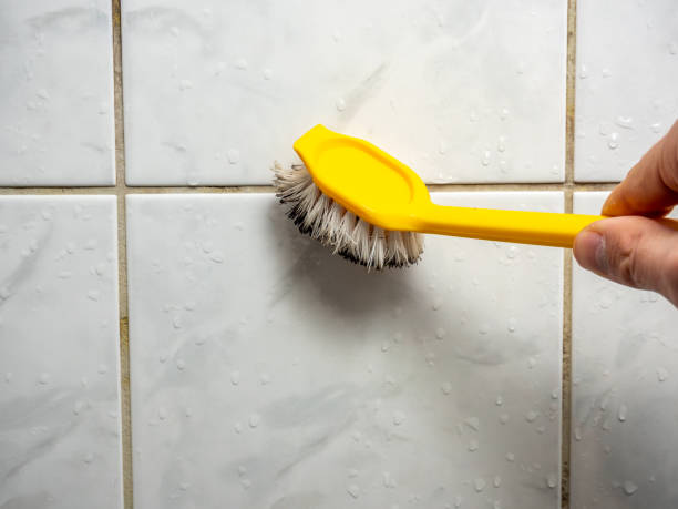 Best Black Mold Removal  in Uhrichsville, OH