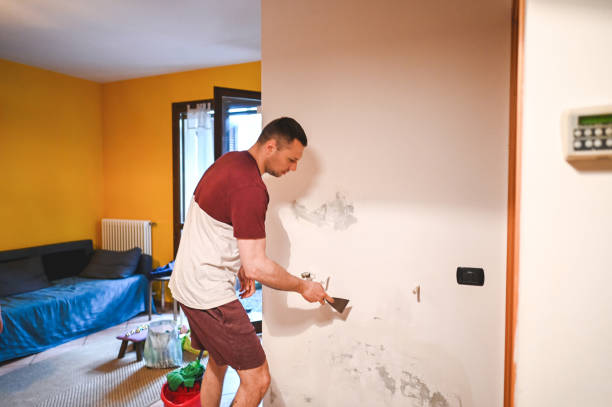 Best Black Mold Removal  in Uhrichsville, OH